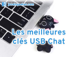 Clé USB Chat Poster